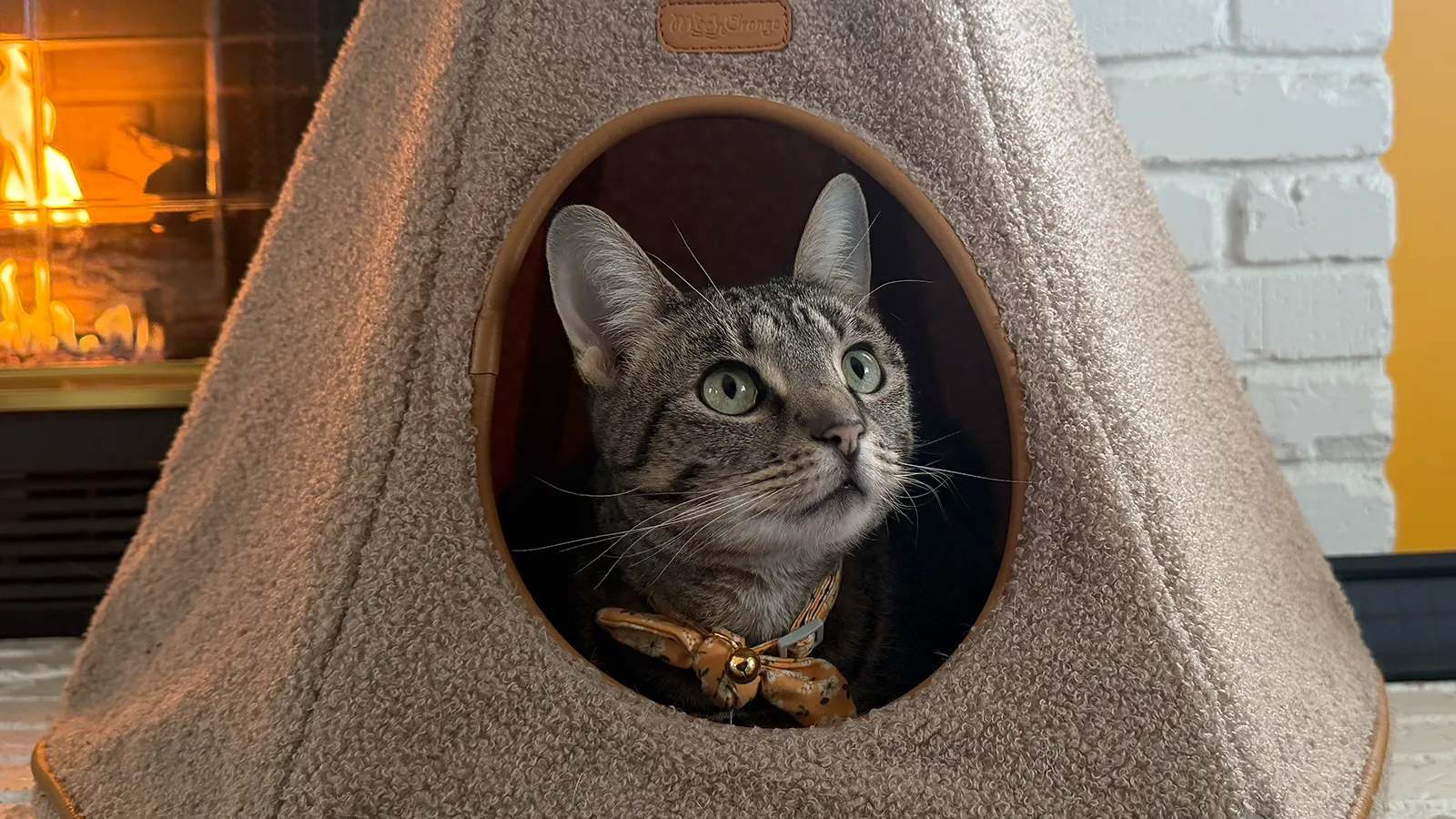 A tabby cat looking out of a felt cat den beside a lit fire